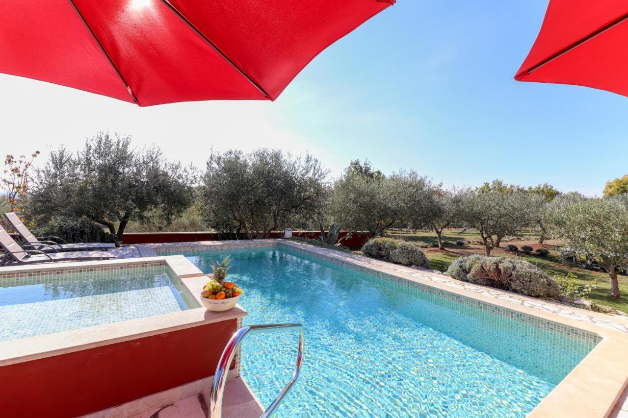 Villa Nona Marija Sveti Lovreč Pazenatički Extérieur photo