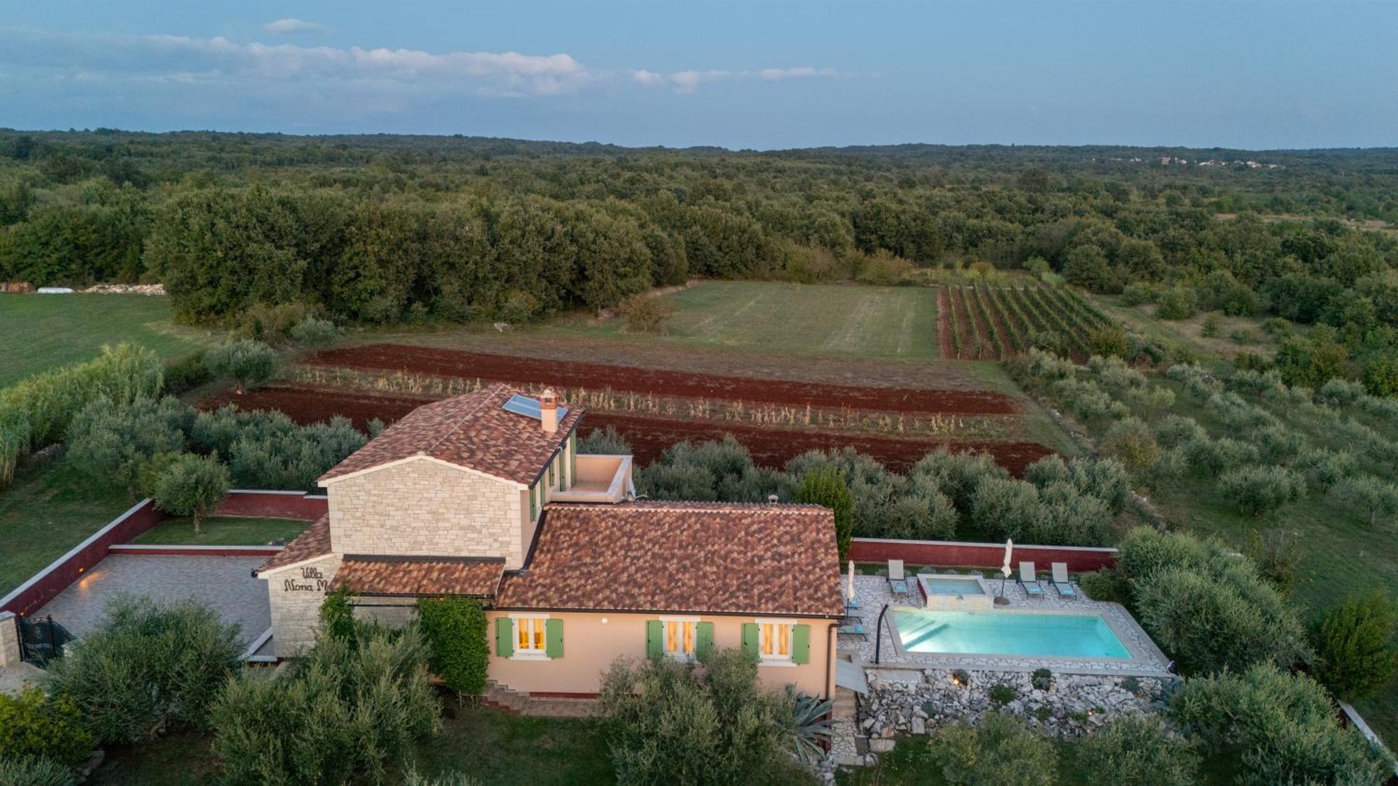 Villa Nona Marija Sveti Lovreč Pazenatički Extérieur photo
